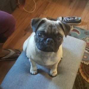 Meet your Posher, Andrew